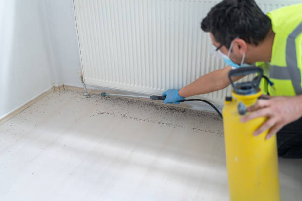 Best Termite Control Services  in St Vincent College, PA