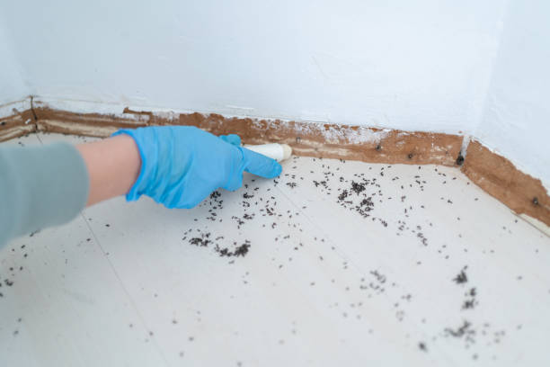 St Vincent College, PA Pest Control Company